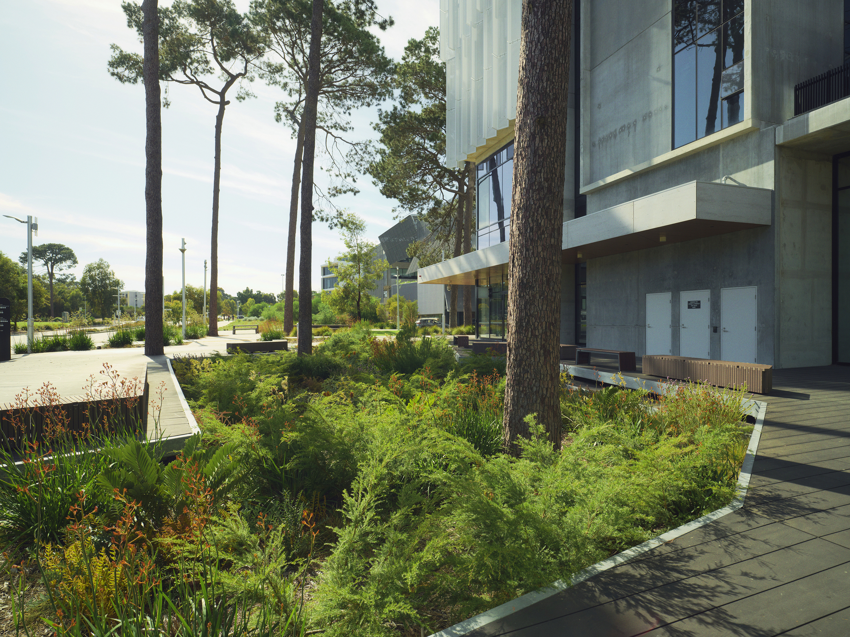 LCW_CurtinExchange_Day02_12474 small.jpg