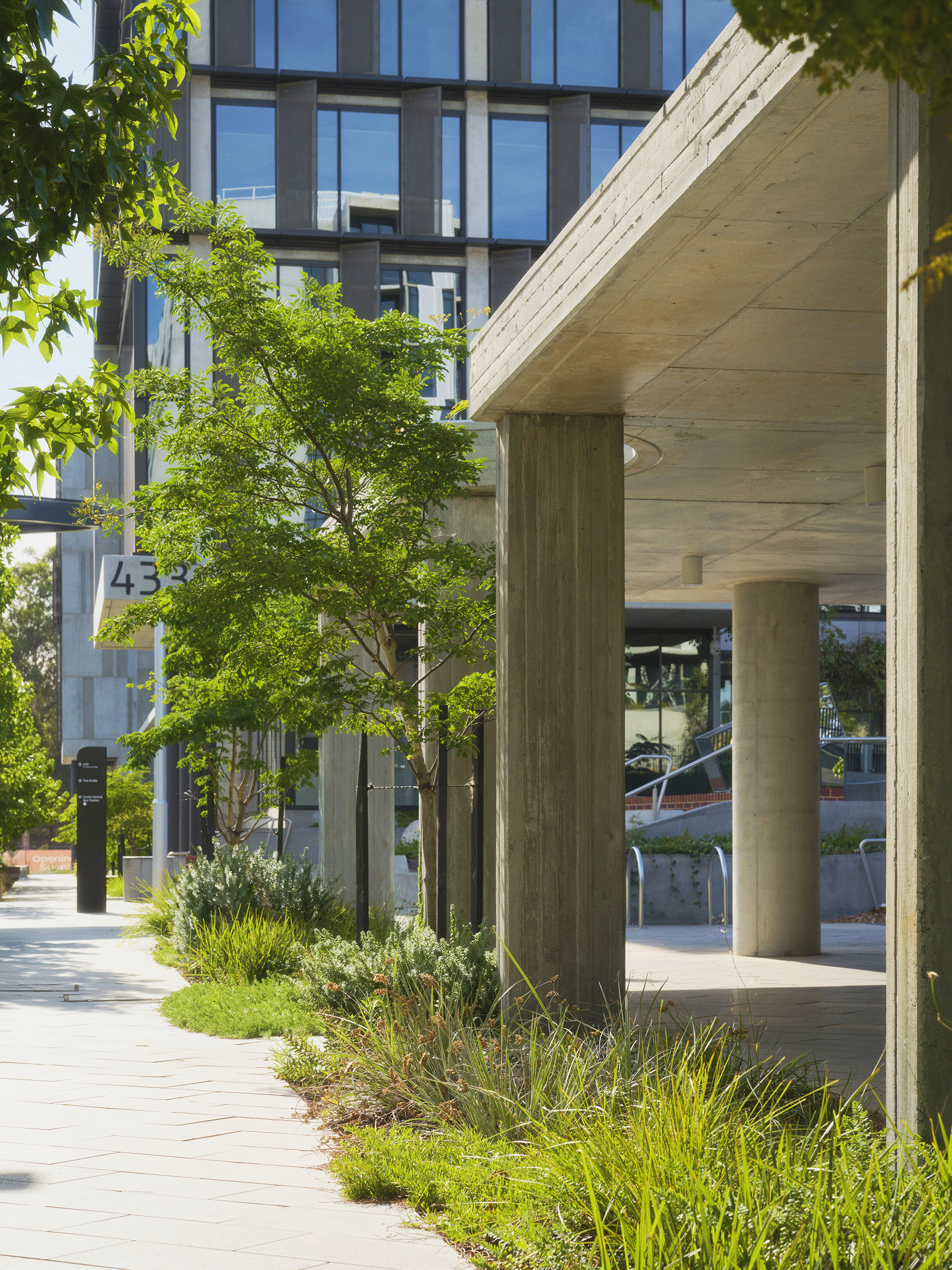 LCW_CurtinExchange_Day610016 small.jpg