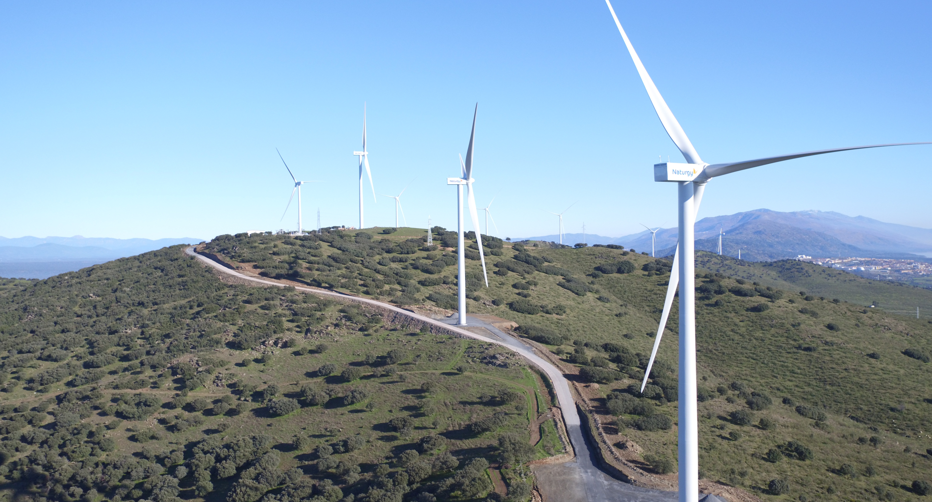 Naturgy 4.jpg