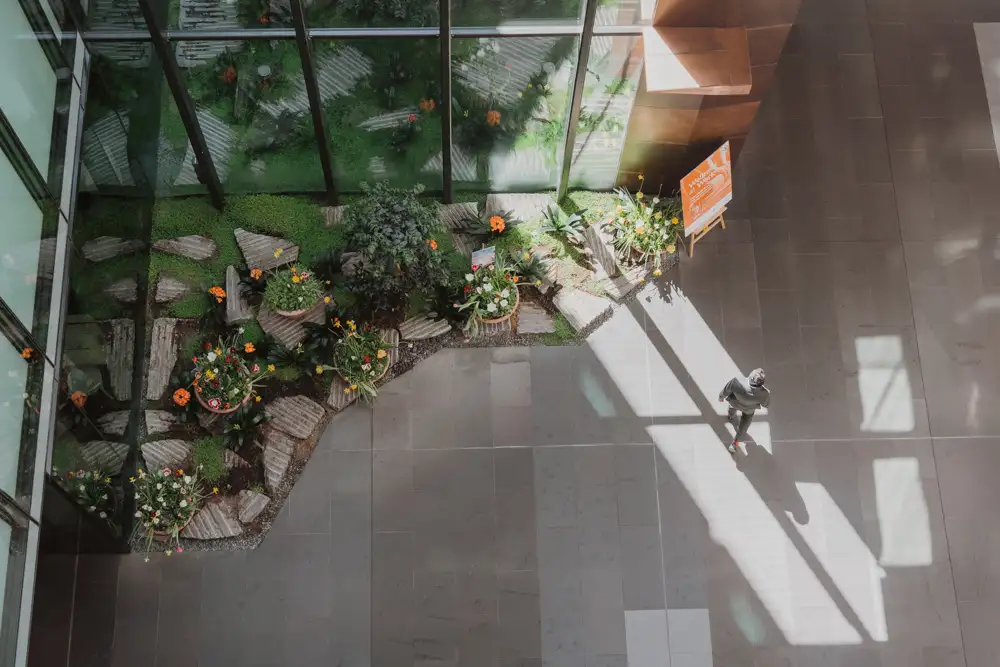 4_National_Circuit_Canberra ACT_Building_Interior_Looking_Down_Inside_Garden.webp