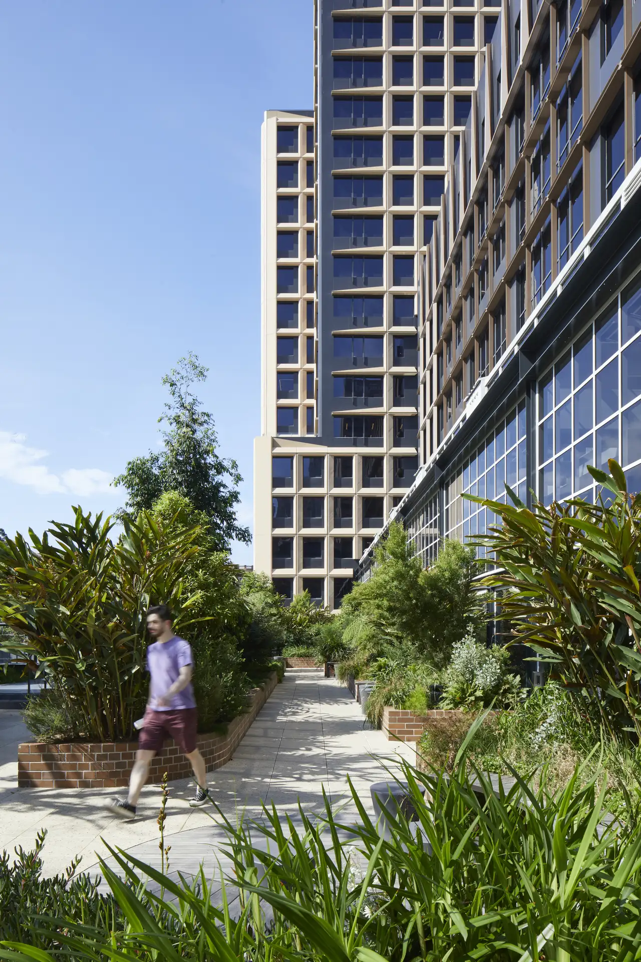 477_Pitt_Street_Sydney_NSW_Building_Garden-2.webp